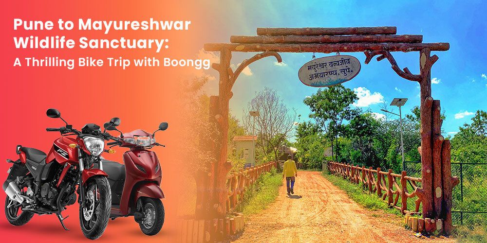  Pune to Mayureshwar Wildlife Sanctuary