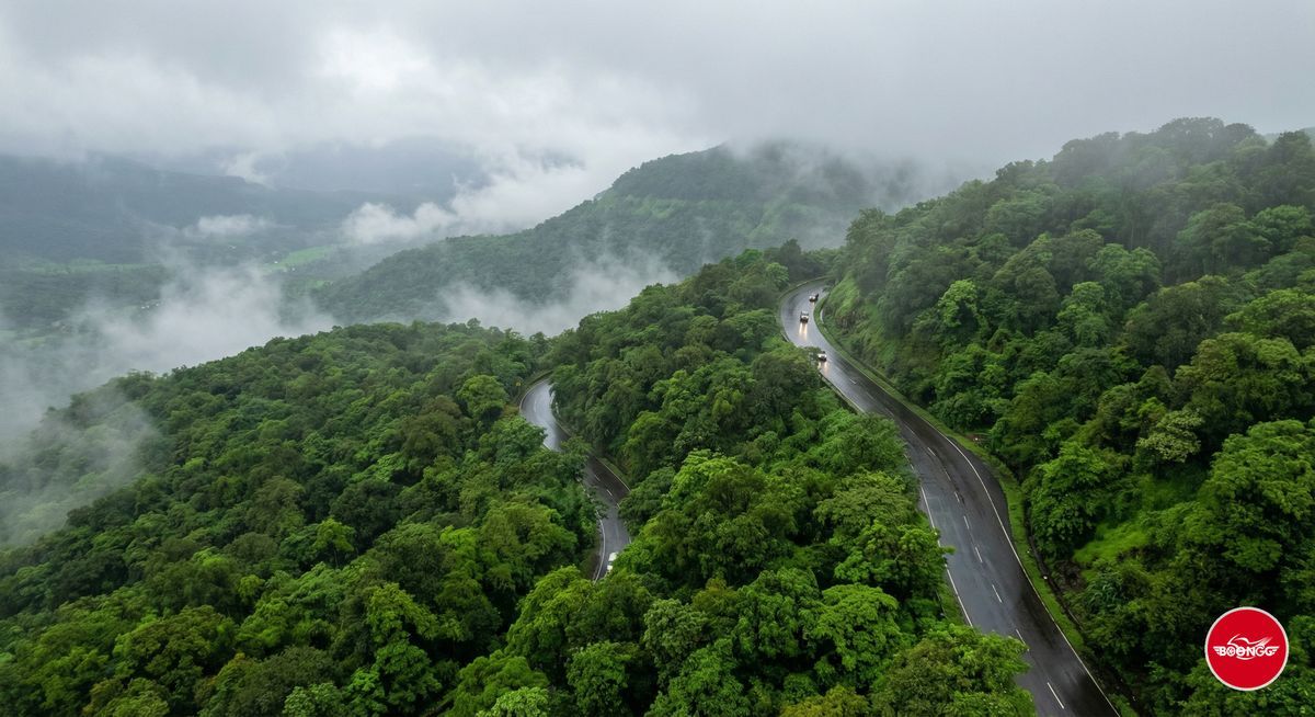 Tamhini Ghat monsoon road winding through dense green forest with fog